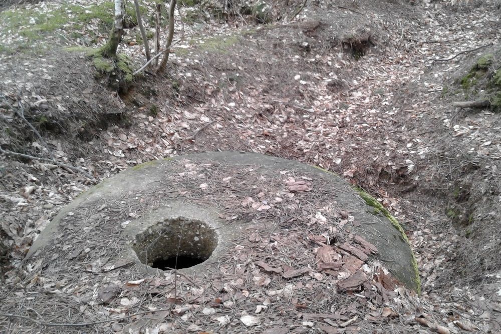 Kochbunker 'Korterbosch 1' Montferland #3