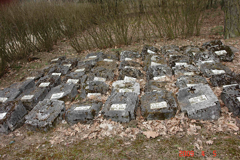 Camp Cemetery Tuchola #2