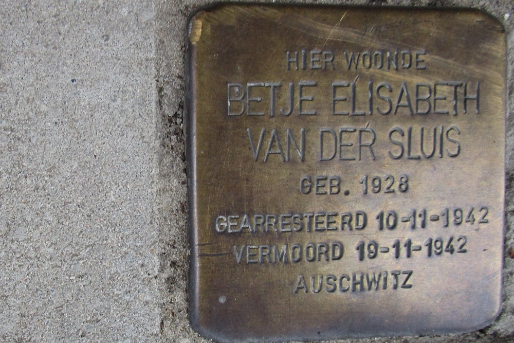 Stolpersteine Rooseveltlaan 90 #2