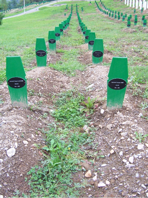Begraafplaats Slachtoffers Massamoord Srebrenica #4