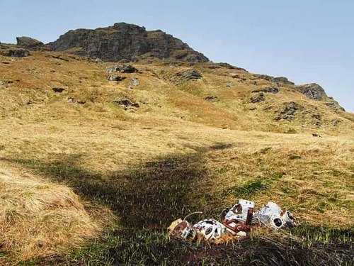 Crash Site & Wreckage Martlet AL251 Beinn Bheula