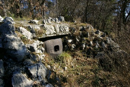 Alpine Wall - Fort S. Caterina 