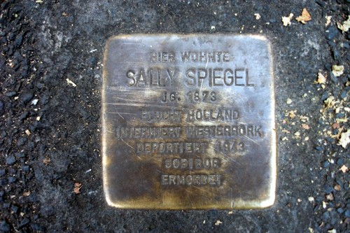 Stolperstein Rheinallee 2a