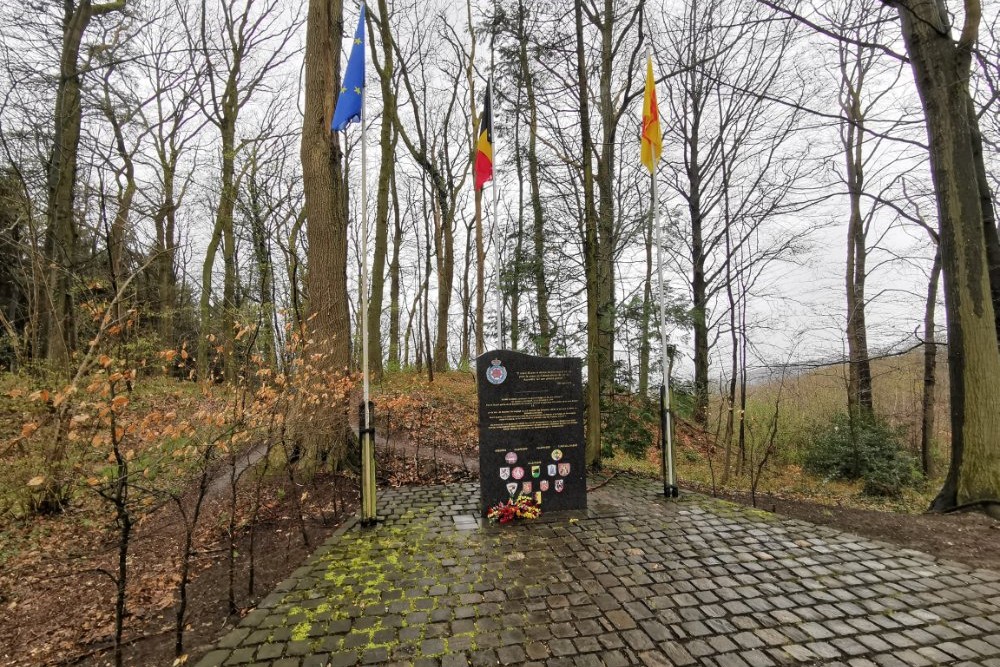 Monument Pierre Roiseux #2