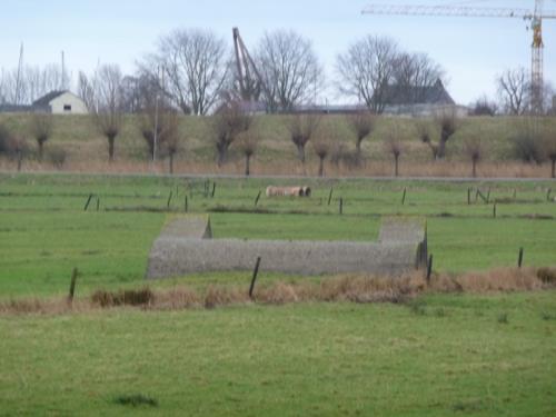 Group Shelter Spaarndam #2