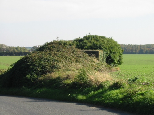 Pillbox FW3/24 Wingham #2