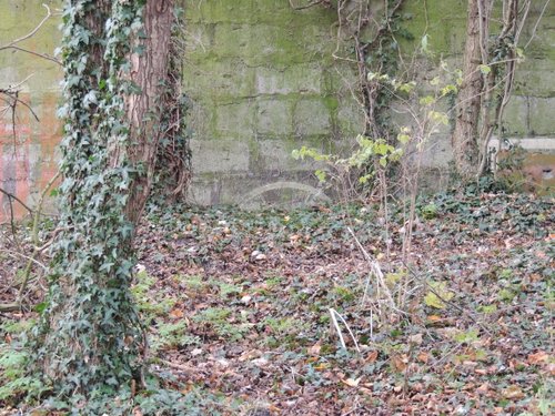 Bunker 7 Stützpunkt Brünhild 'Park Toorenvliedt' #3