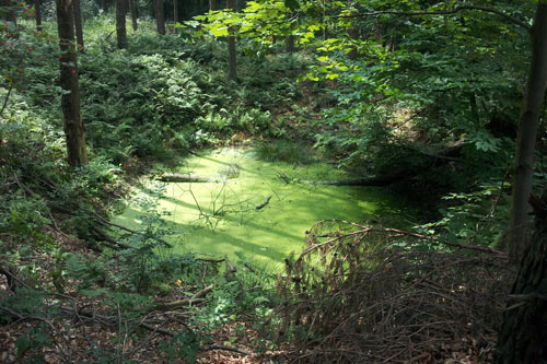 Bomb Craters German Ammunition Storage Buildings (M.A.St.) #5