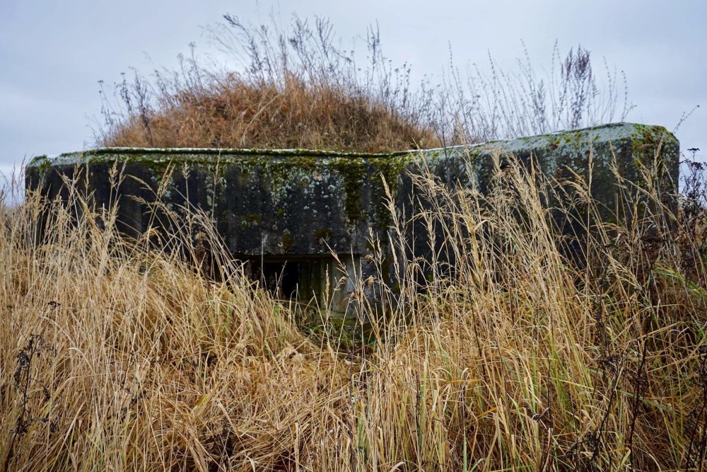 Soviet Pillbox Yurkino