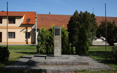 Bevrijdingsmonument Vladislav #1