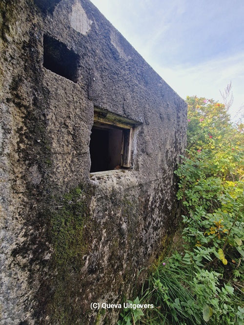 German Bunker Ribe #3