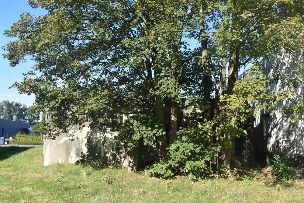 Sluisbunker Hasselt (Godsheide) #5