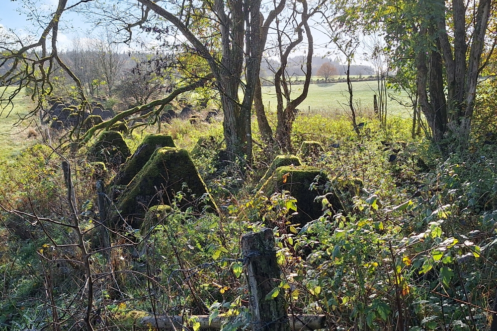 Westwall - Tankversperring Hollerath #4