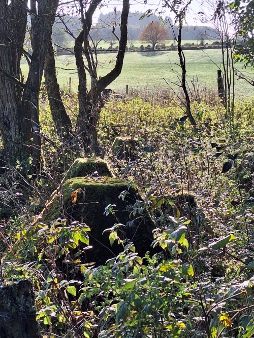 Westwall - Tankversperring Hollerath #5