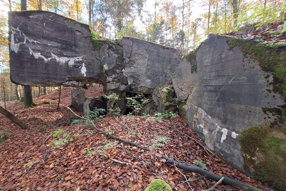 German Bunker Hollerath #4
