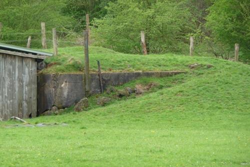 Demolished Pillbox Steinbachshochwald #3