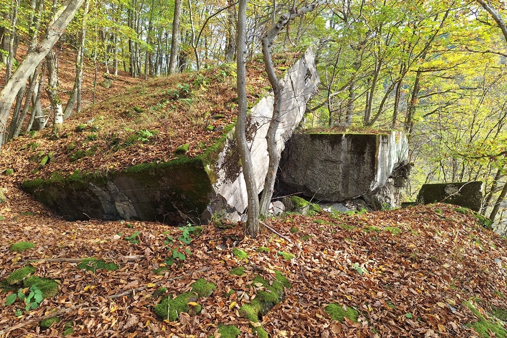 German Bunker 361 Urfftal #5