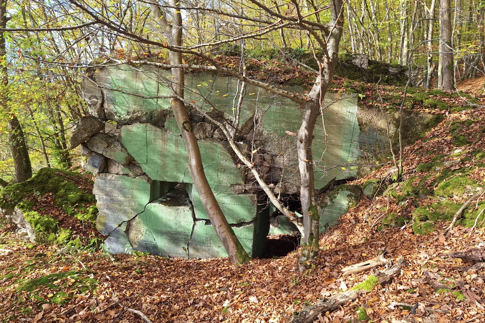 German Bunker 361 Urfftal #8