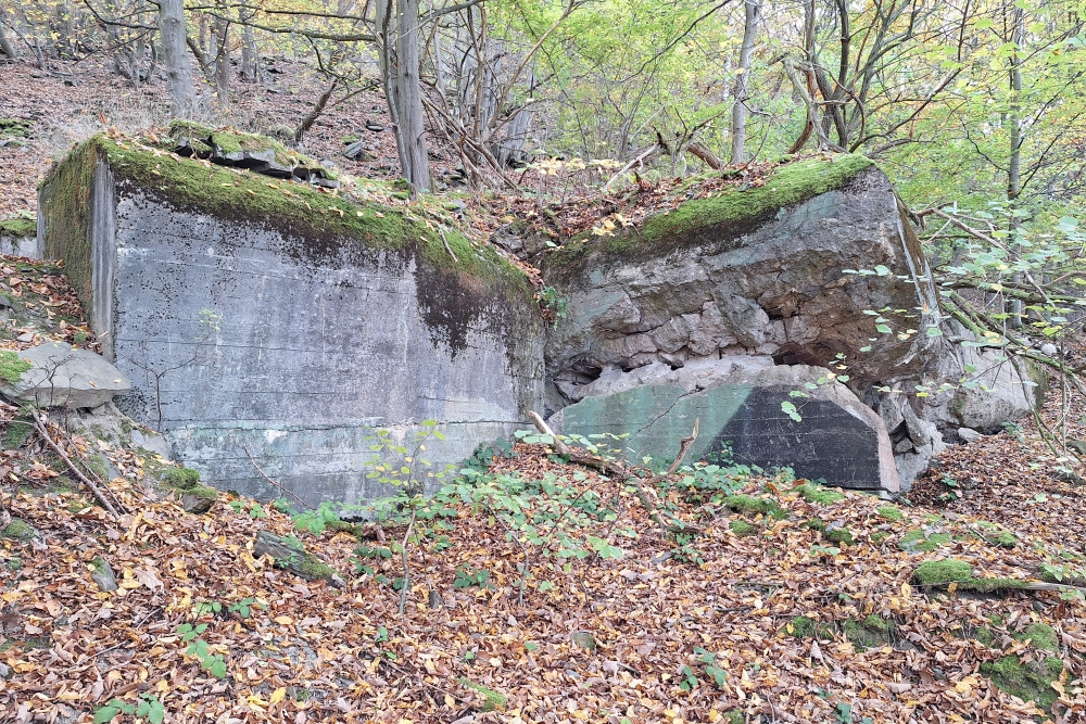 German Bunker 325 Urfftal #3