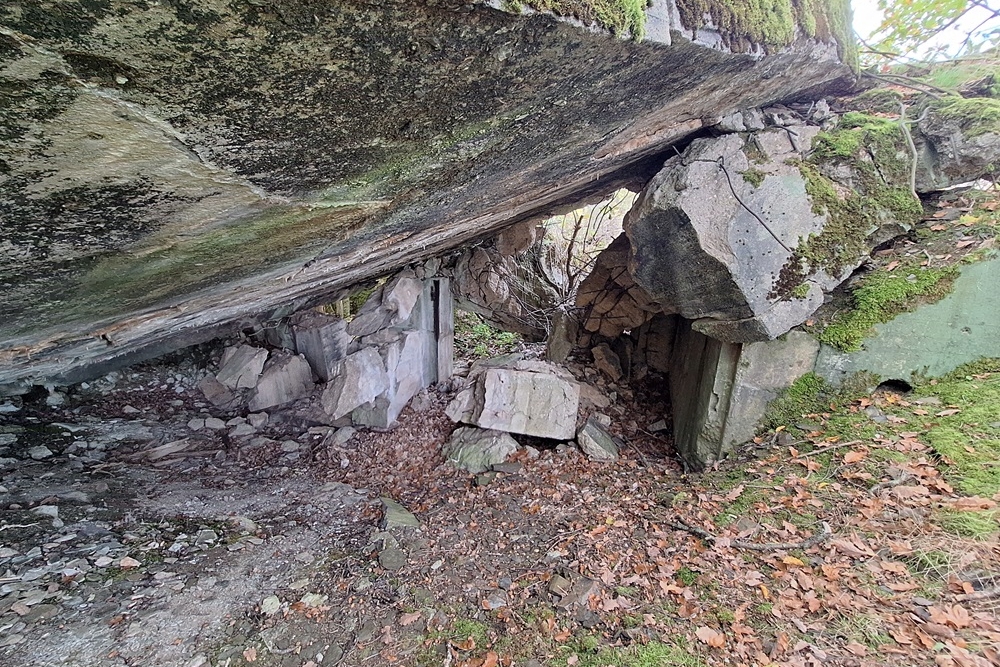 Duitse Bunker 331 Urfttal #2