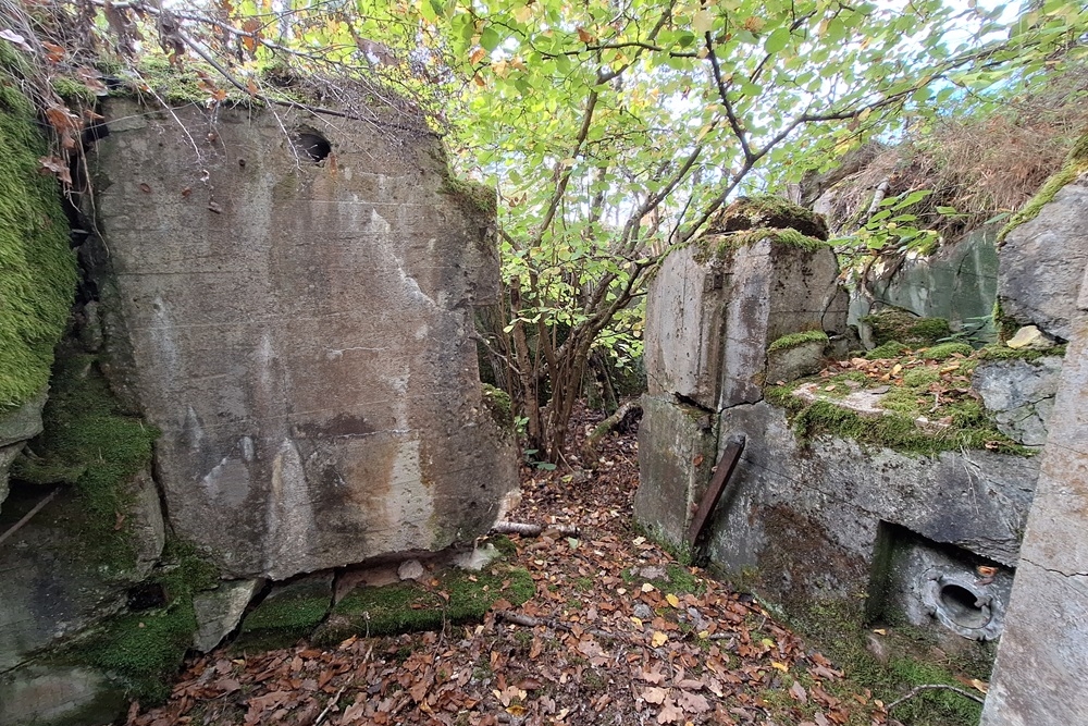 Duitse Bunker 331 Urfttal #5
