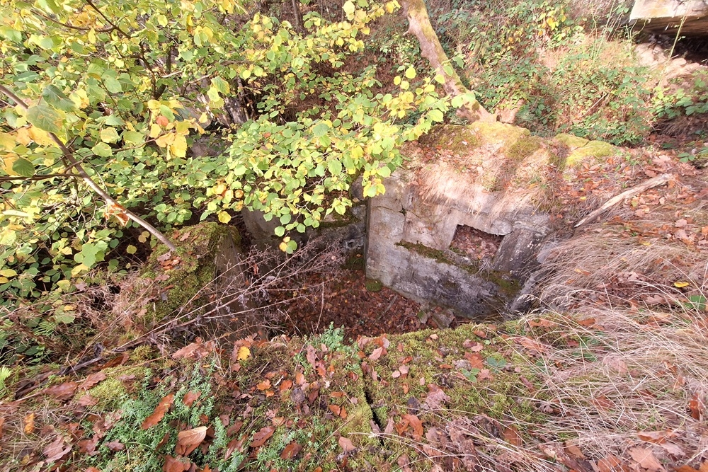 Duitse Bunker 331 Urfttal #6