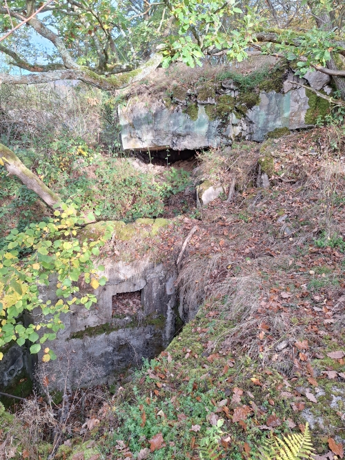 Duitse Bunker 331 Urfttal #7