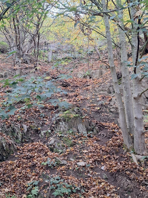German Bunker 337 Urfftal #4