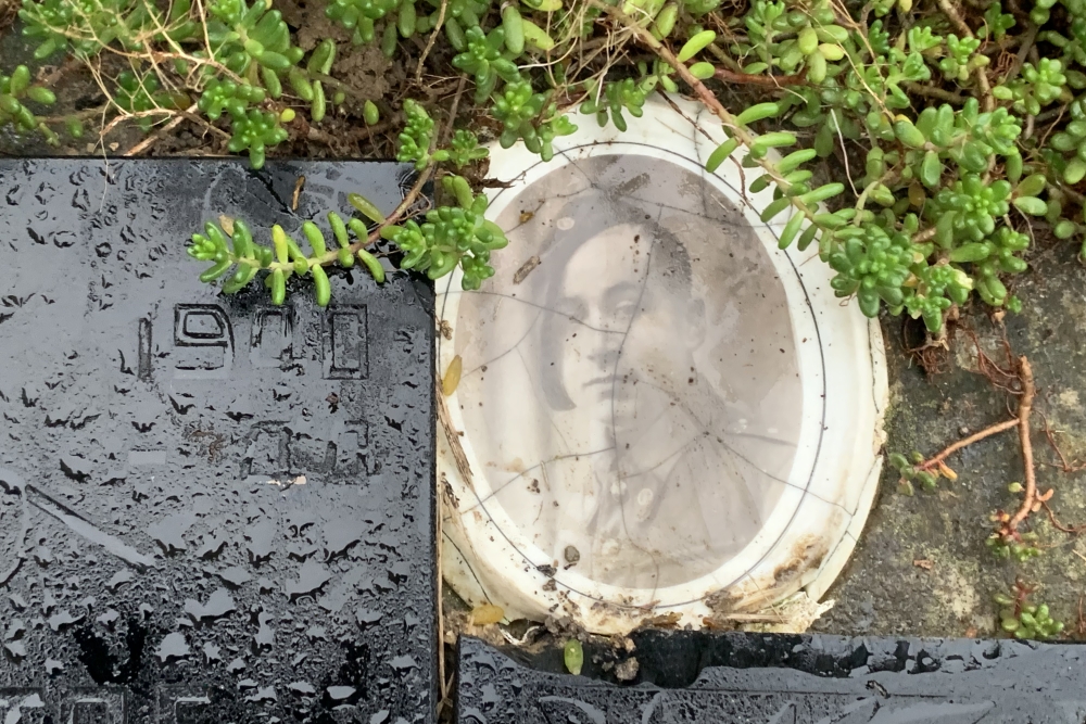 Belgische Oorlogsgraven Mons #2