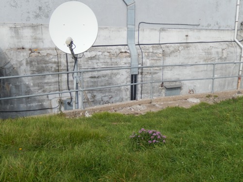 Stützpunkt 110 Telegraphenhöhe - 502 Doppelgruppenunterstand