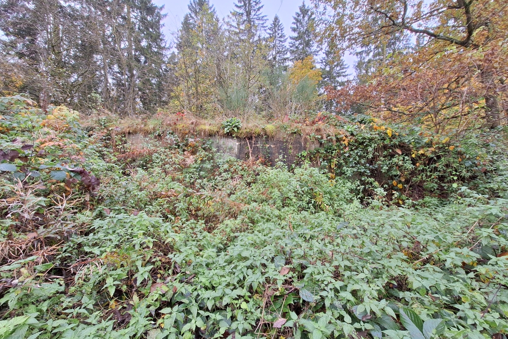German Waterbunker Hollerath #2