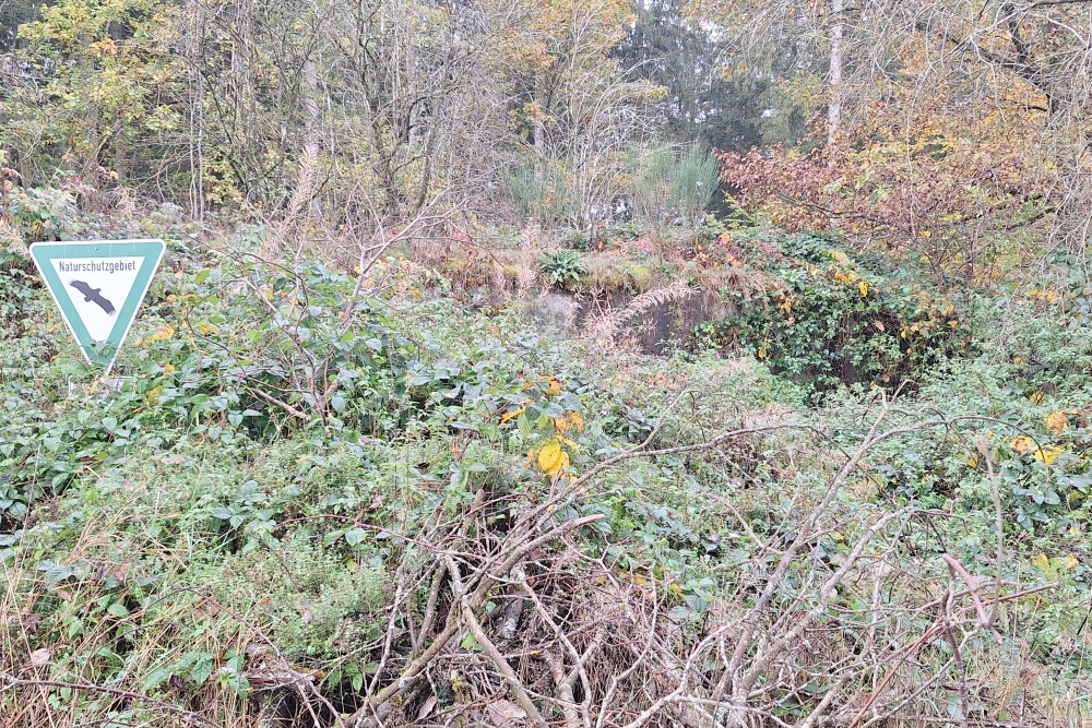 German Waterbunker Hollerath #4