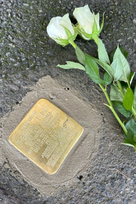 Stolperstein Country Hospital 