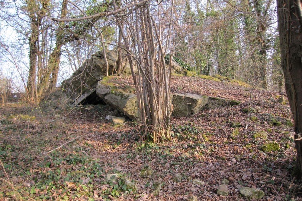 Neckar-Enz-Stellung - Panzerwerk 319 #1