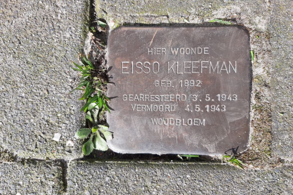 Stolperstein Woudbloemlaan 24