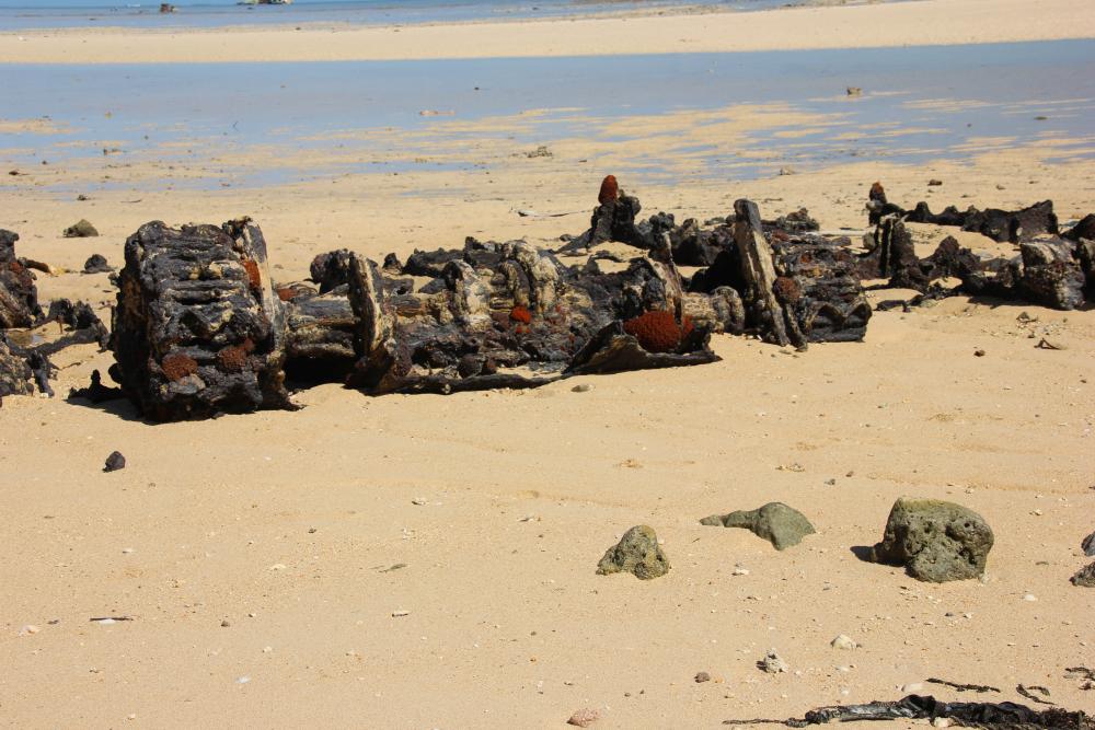 Invasion Beach 