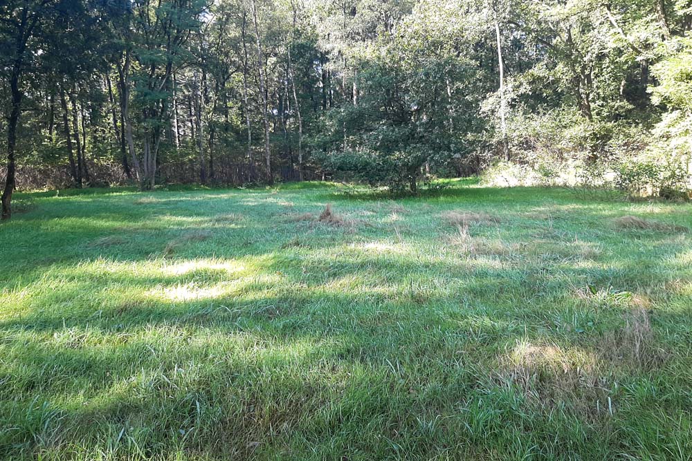 Former Parking Area German Fighter Planes #2