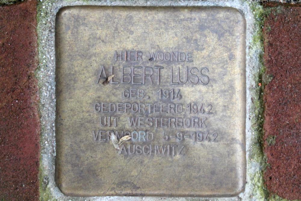 Stumbling Stone Mariënpoelstraat 9