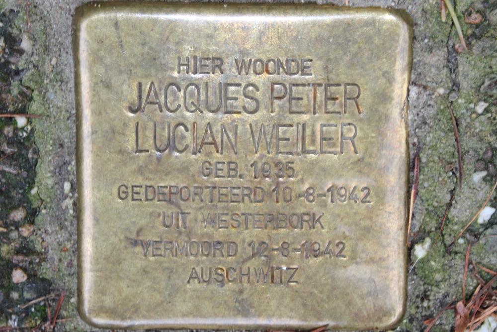 Stolpersteine Graaf Florislaan 64 #4