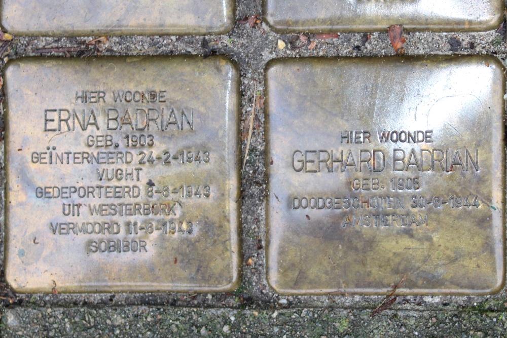 Stolpersteine Mecklenburglaan 23A #2