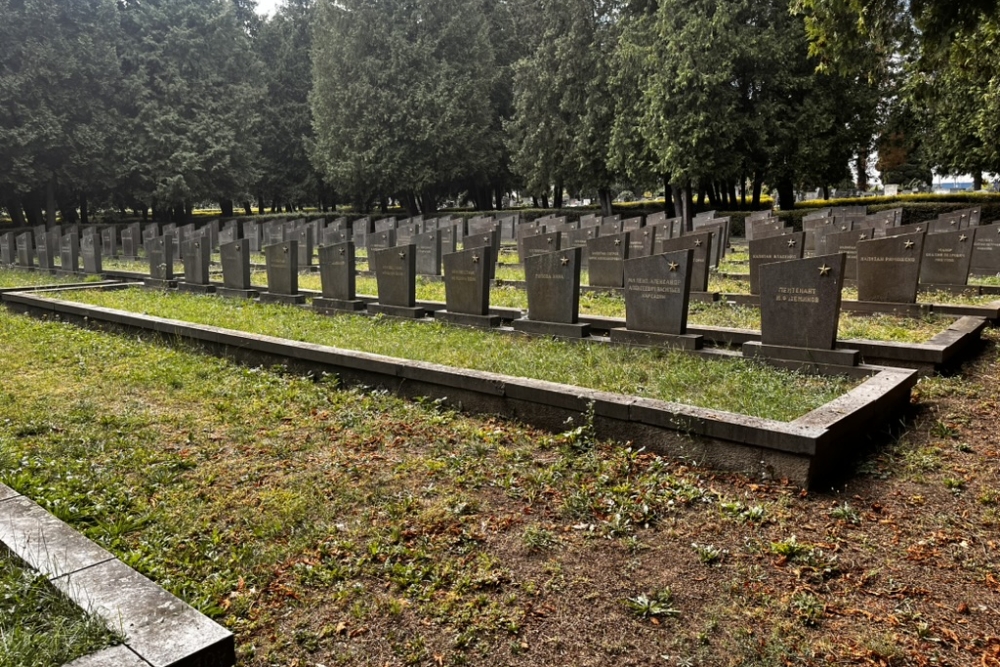 Soviet Military Cemetery #3