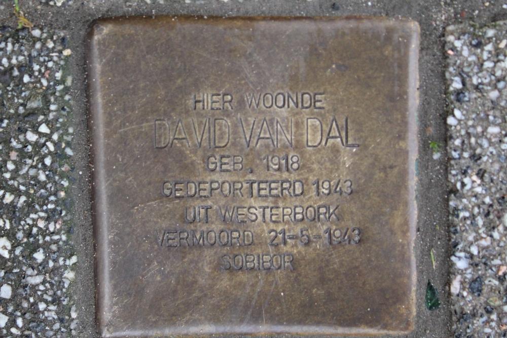Stumbling Stone Beverstraat 1 #1
