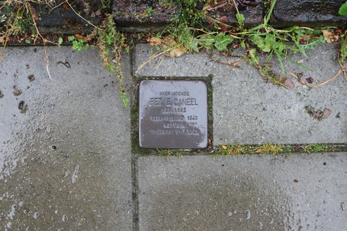 Stolperstein Pioenroosstraat 11 #1