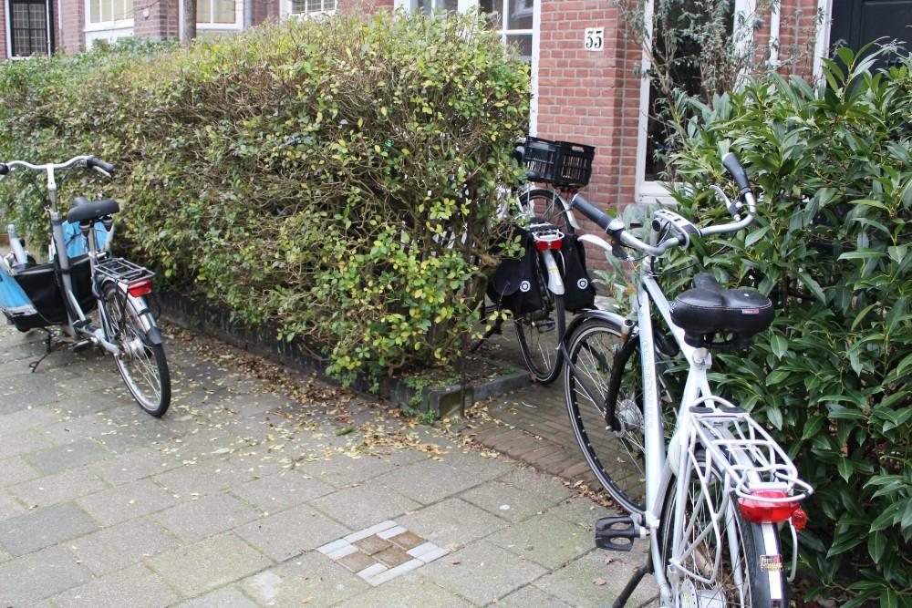 Stumbling Stones Frankenstraat 33 #6