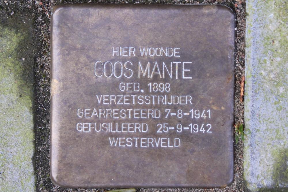 Stolperstein Van Meerkerkestraat 8 #1