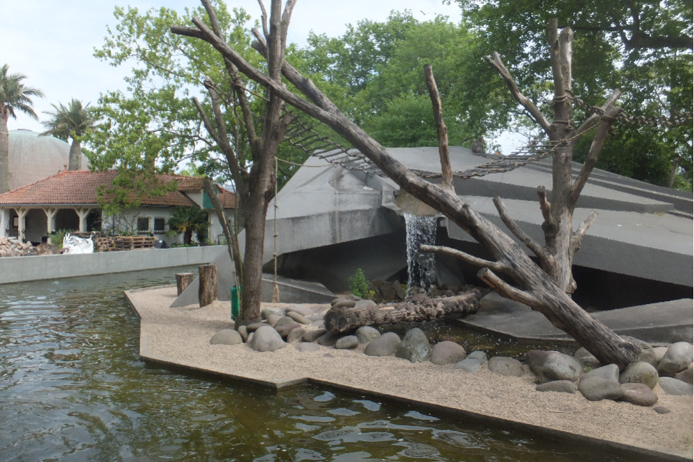Artis Zoo #7