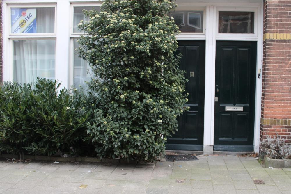 Stolperstein Schoterweg 76 #2