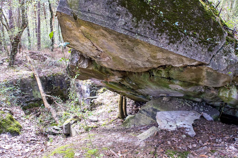 Westwall Bunker Nr.157 #2