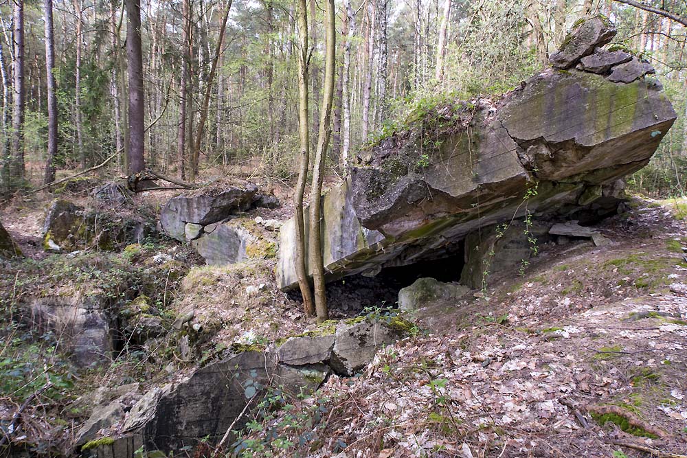Westwall Bunker Nr.157 #3