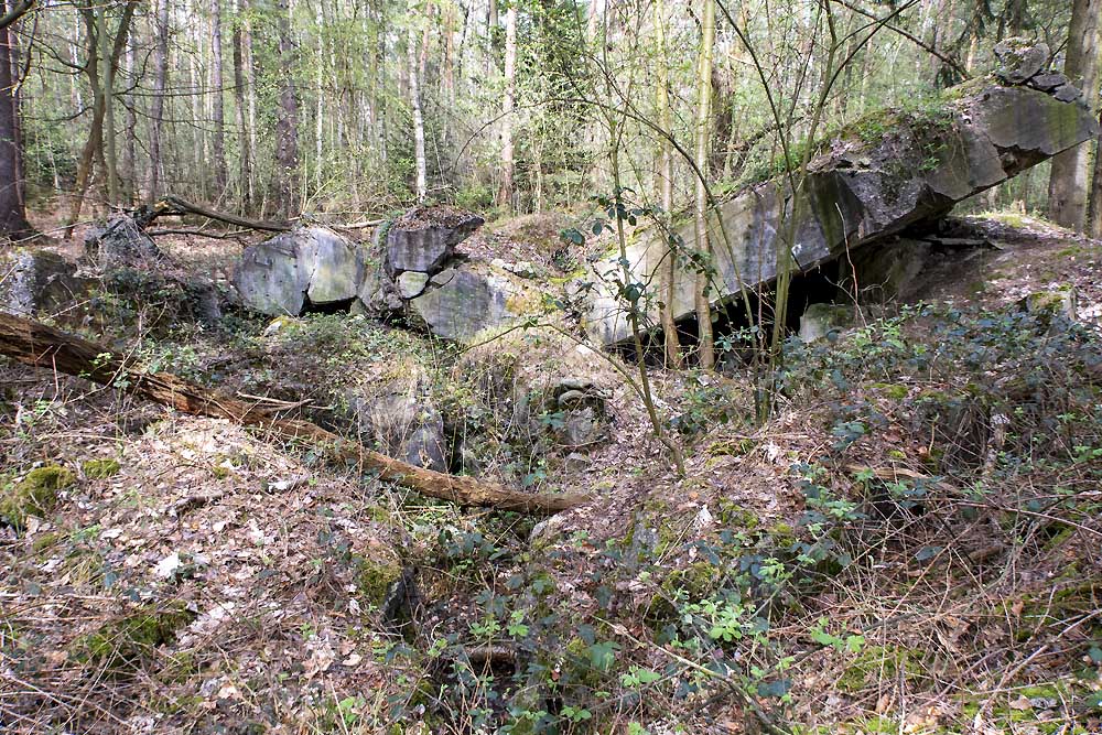 Westwall Bunker Nr.157 #5